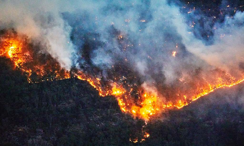 bushfire-main