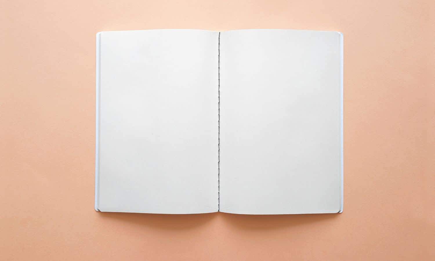 Journal