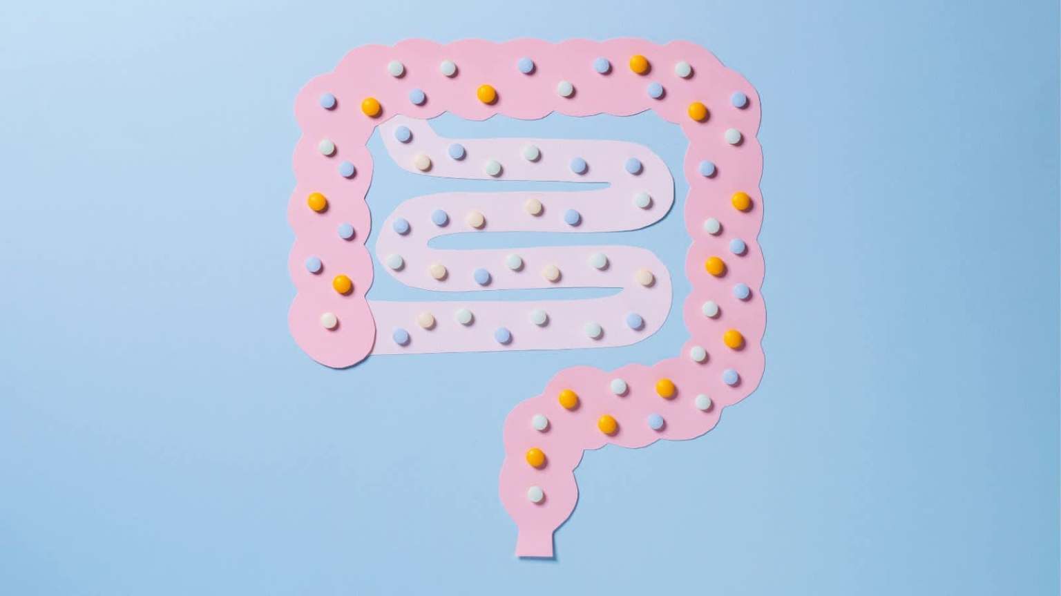 Gut Health