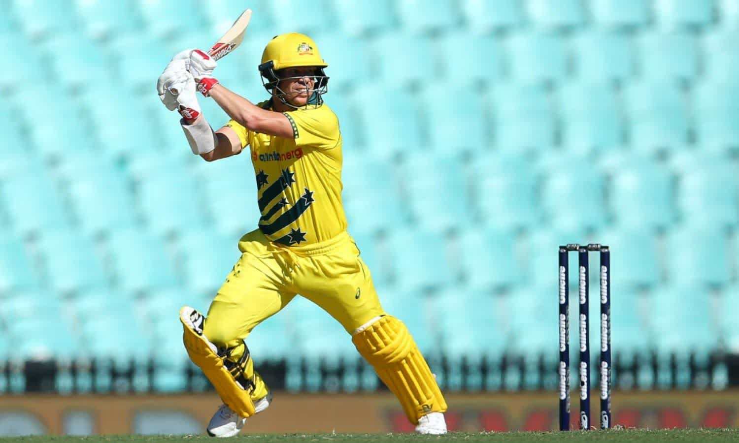 Cricket