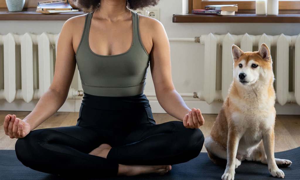 isolation-word-of-the-year