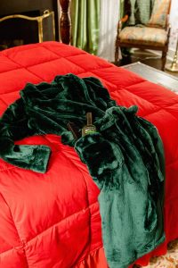 Home Alone airbnb house