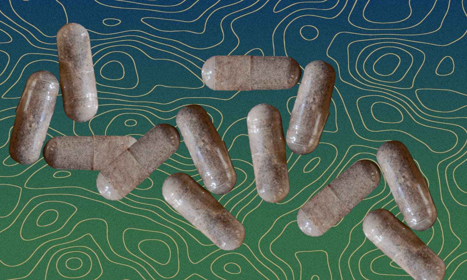 placenta pills