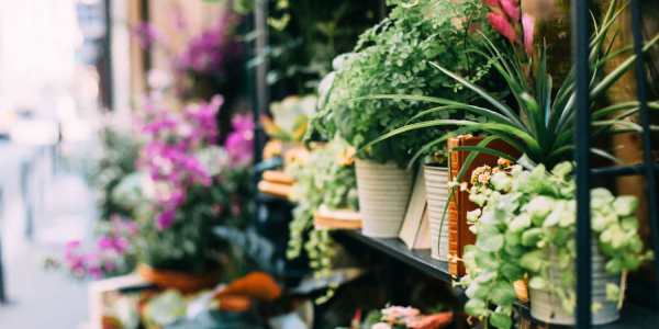 Flower shop