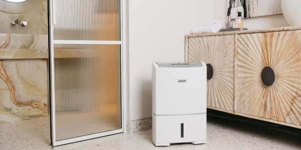 Mitshubishi Electric dehumidifer
