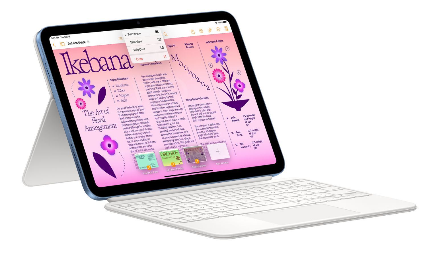 Apple iPad Keyboard Folio