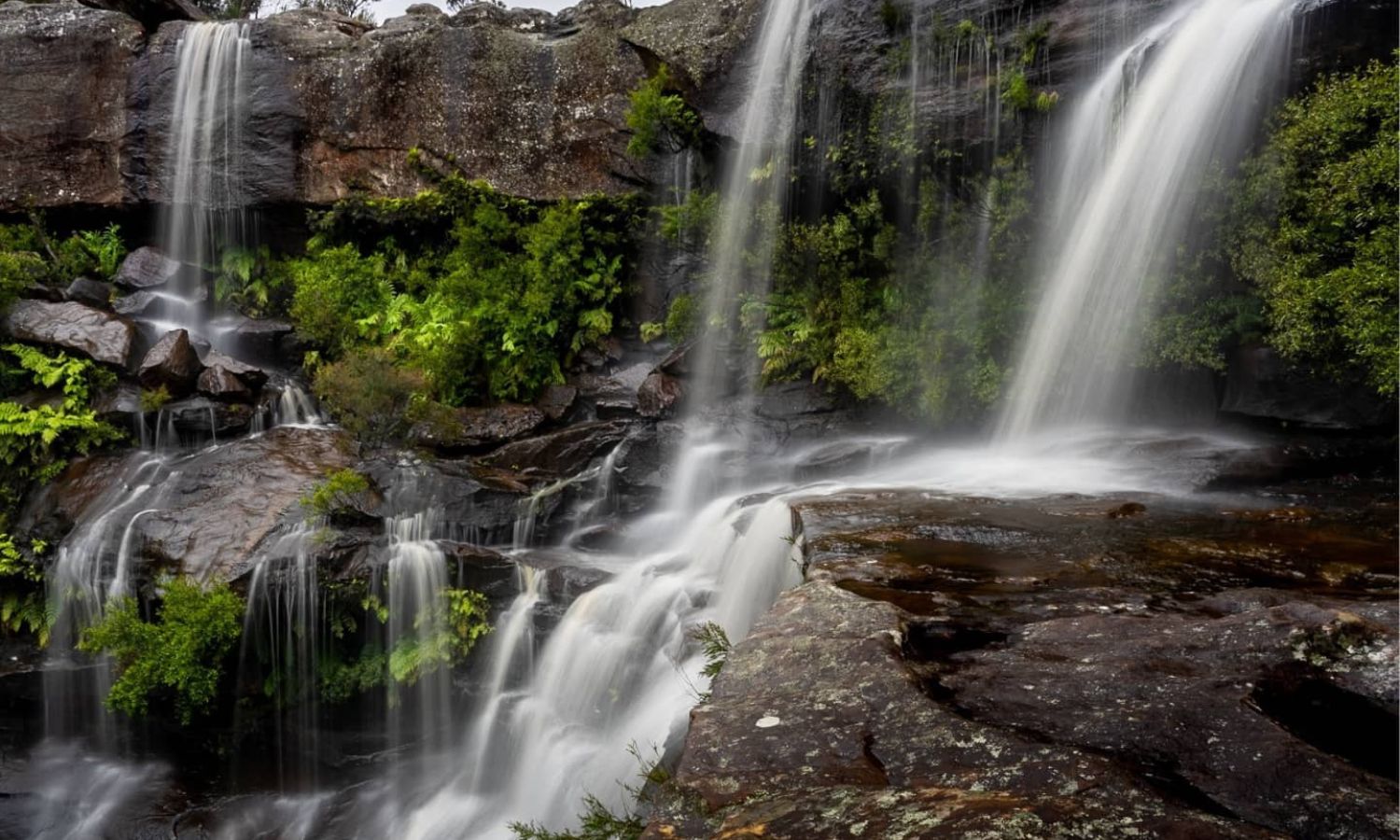 Best national parks nsw