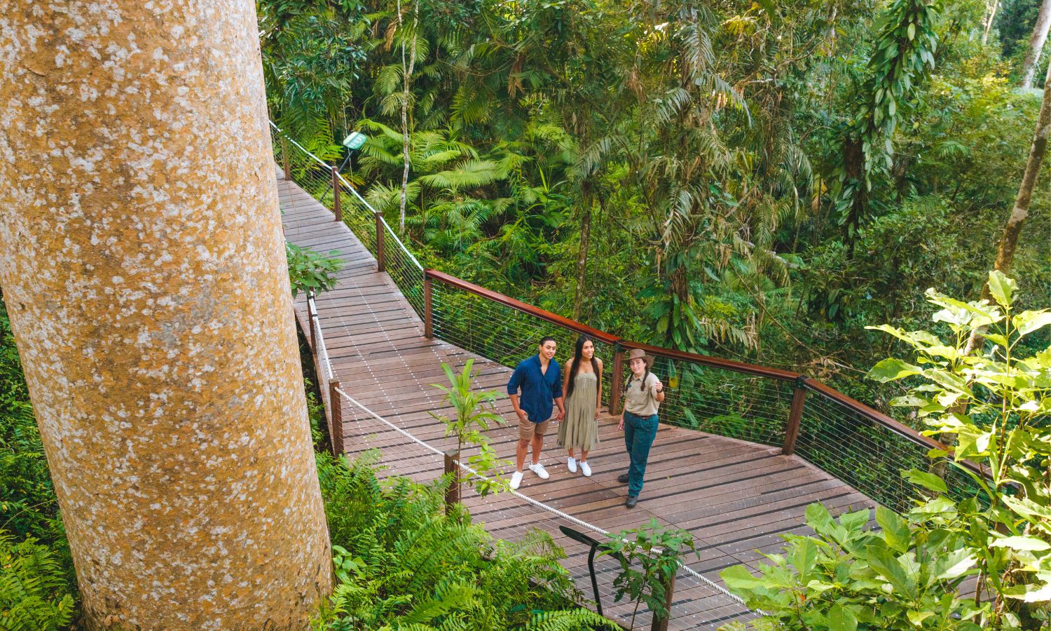 sustainable travel hub tropical north queensland
