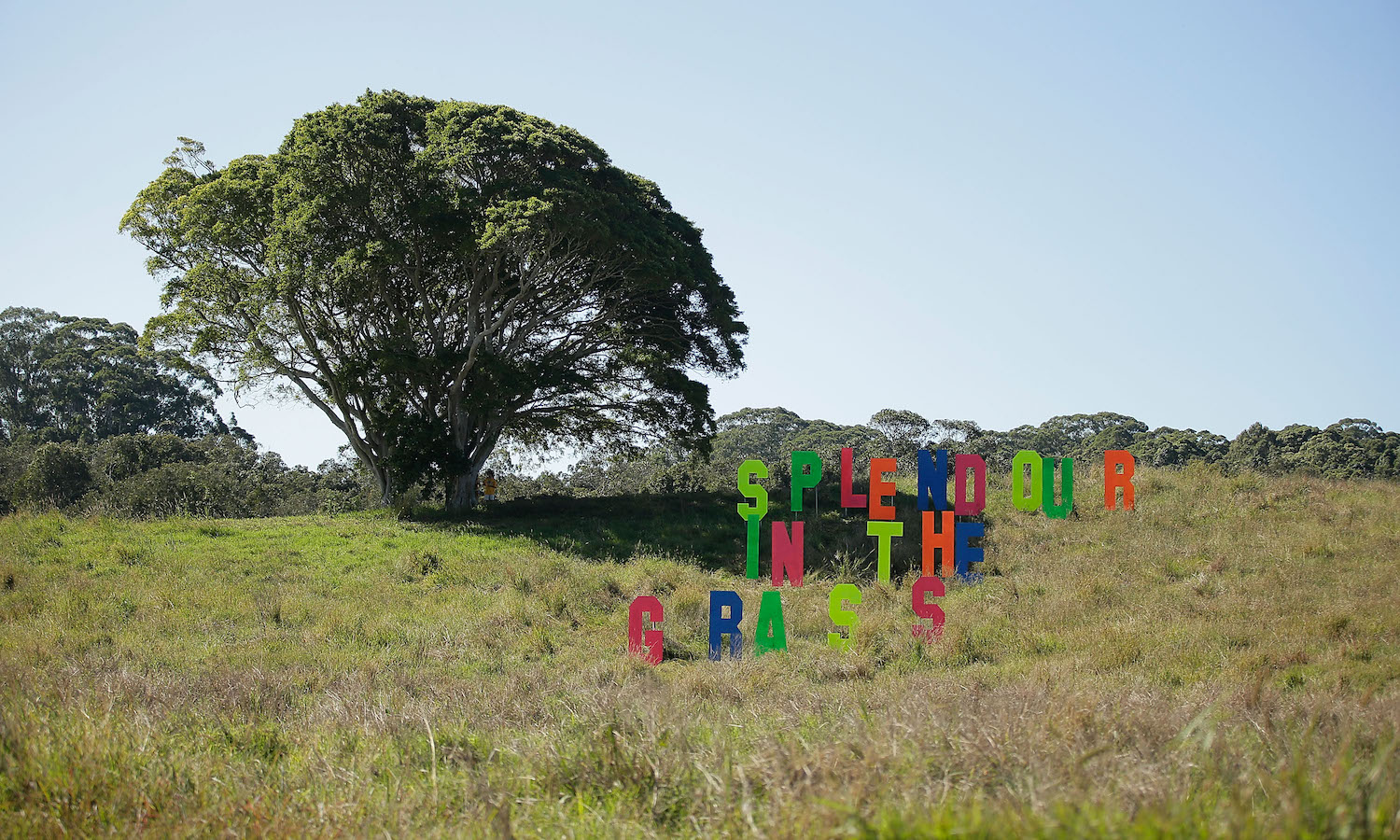 Splendour in the Grass sign entrance