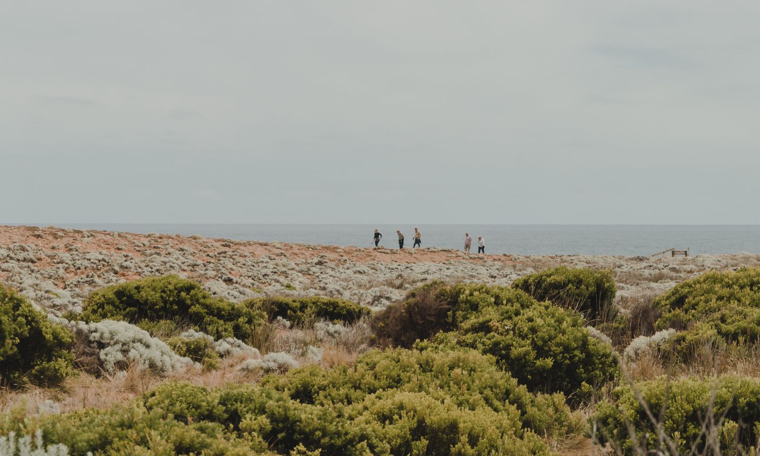 Cape Bridgewater Great Ocean Road