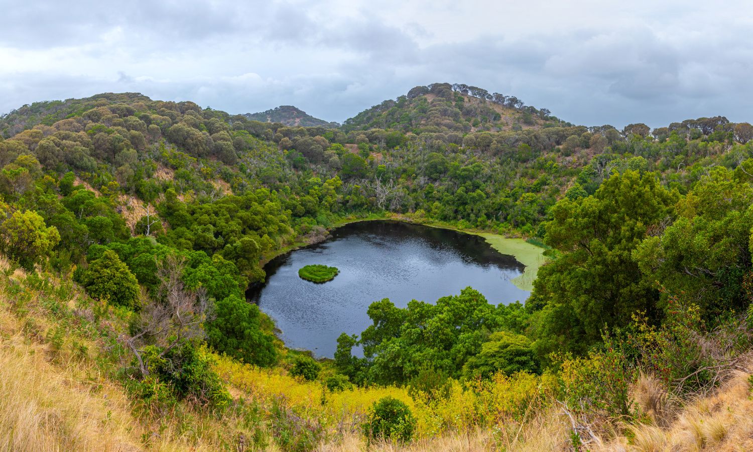 Tower Hill Wildlife Reserve