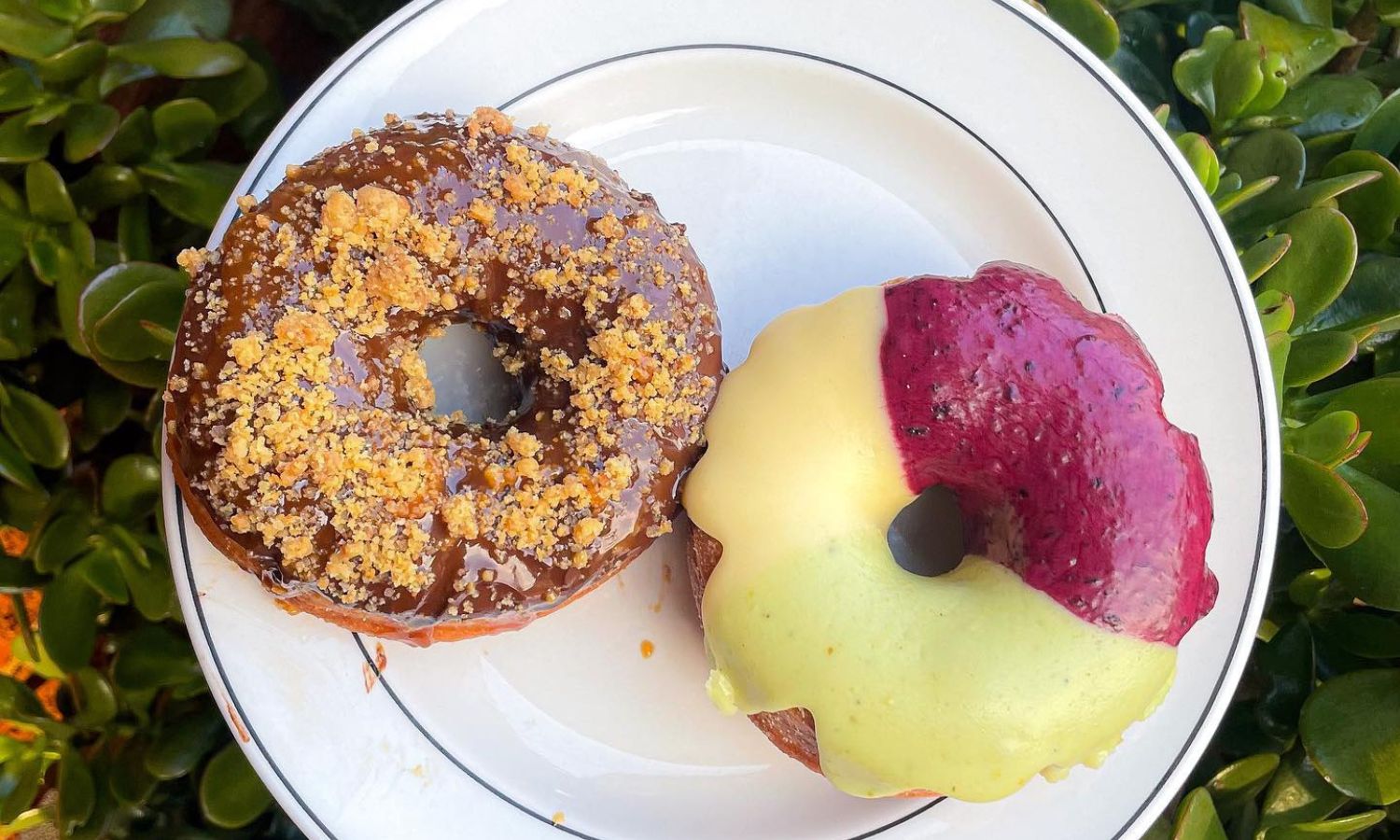 best vegan bakeries sydney