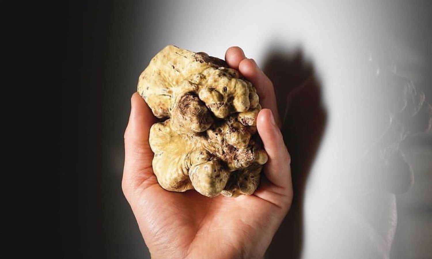 food festivals italy