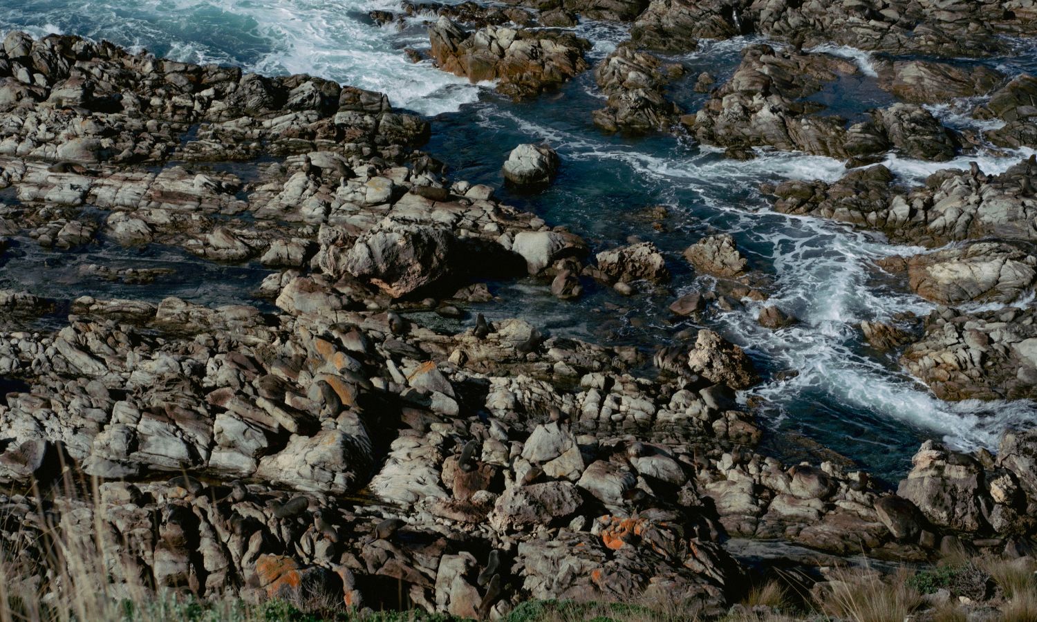 is kangaroo island worth visiting in winter