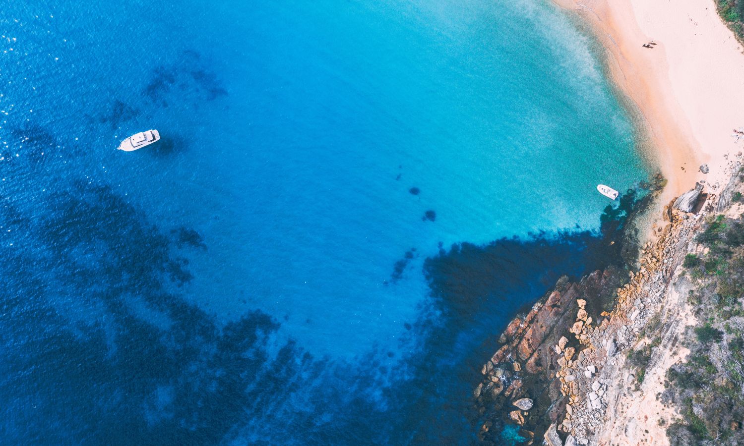 Best walks in Sydney Bouddi Coastal Trek