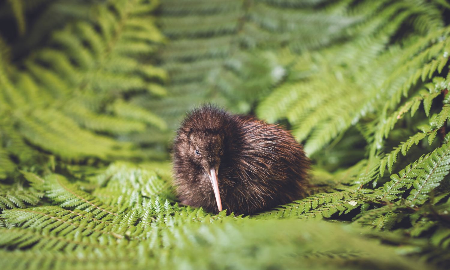 does sustainable travel cost more