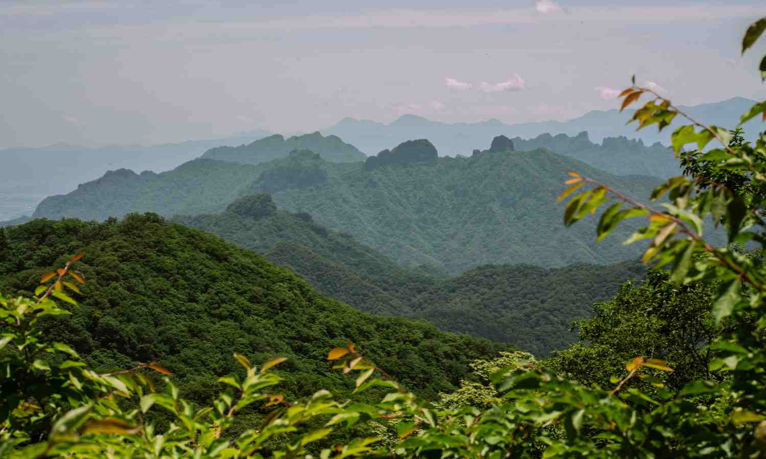 japan new golden route