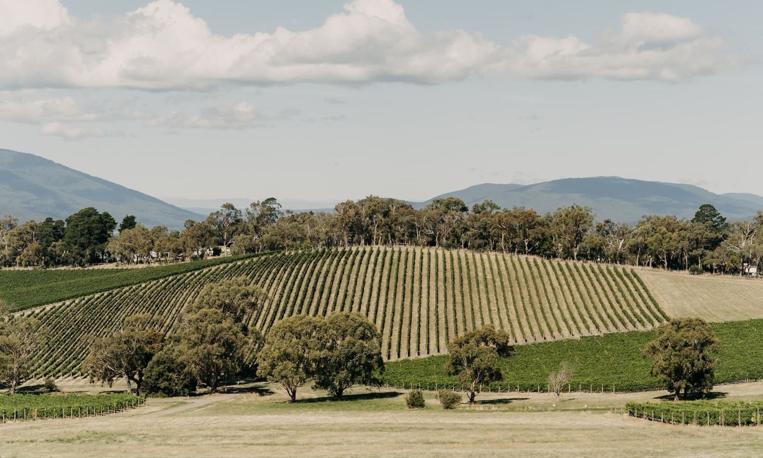 things to do warburton 