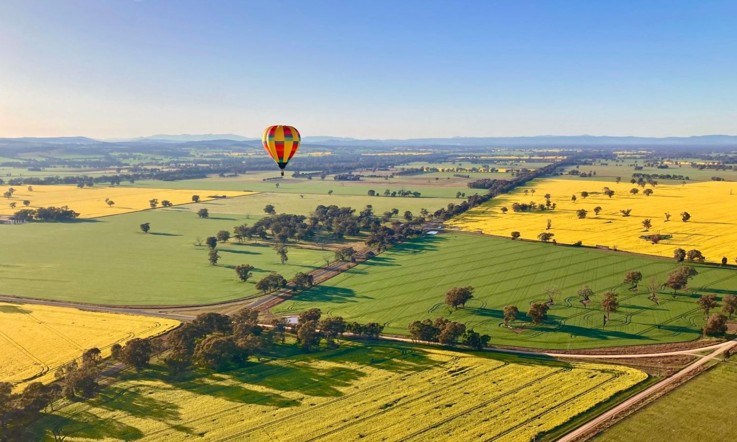 canola hot air balloon flight 