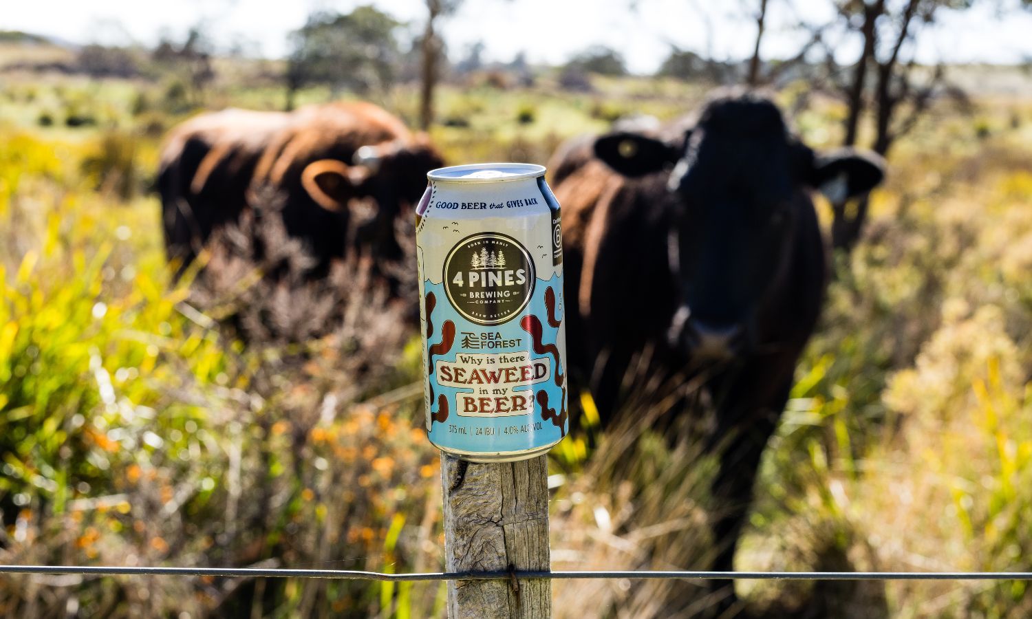 alcohol brands climate change 