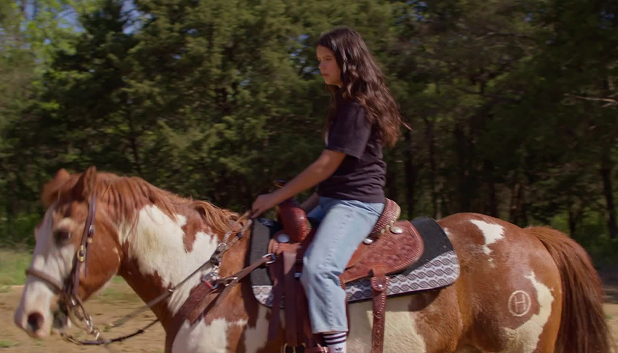 The horse in The Heart of a Champion