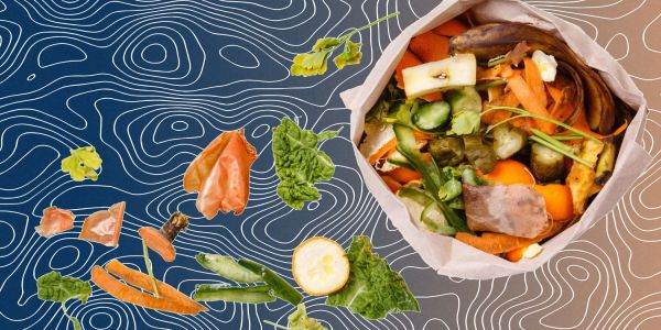 reducing food waste compost bin fruit veg scraps