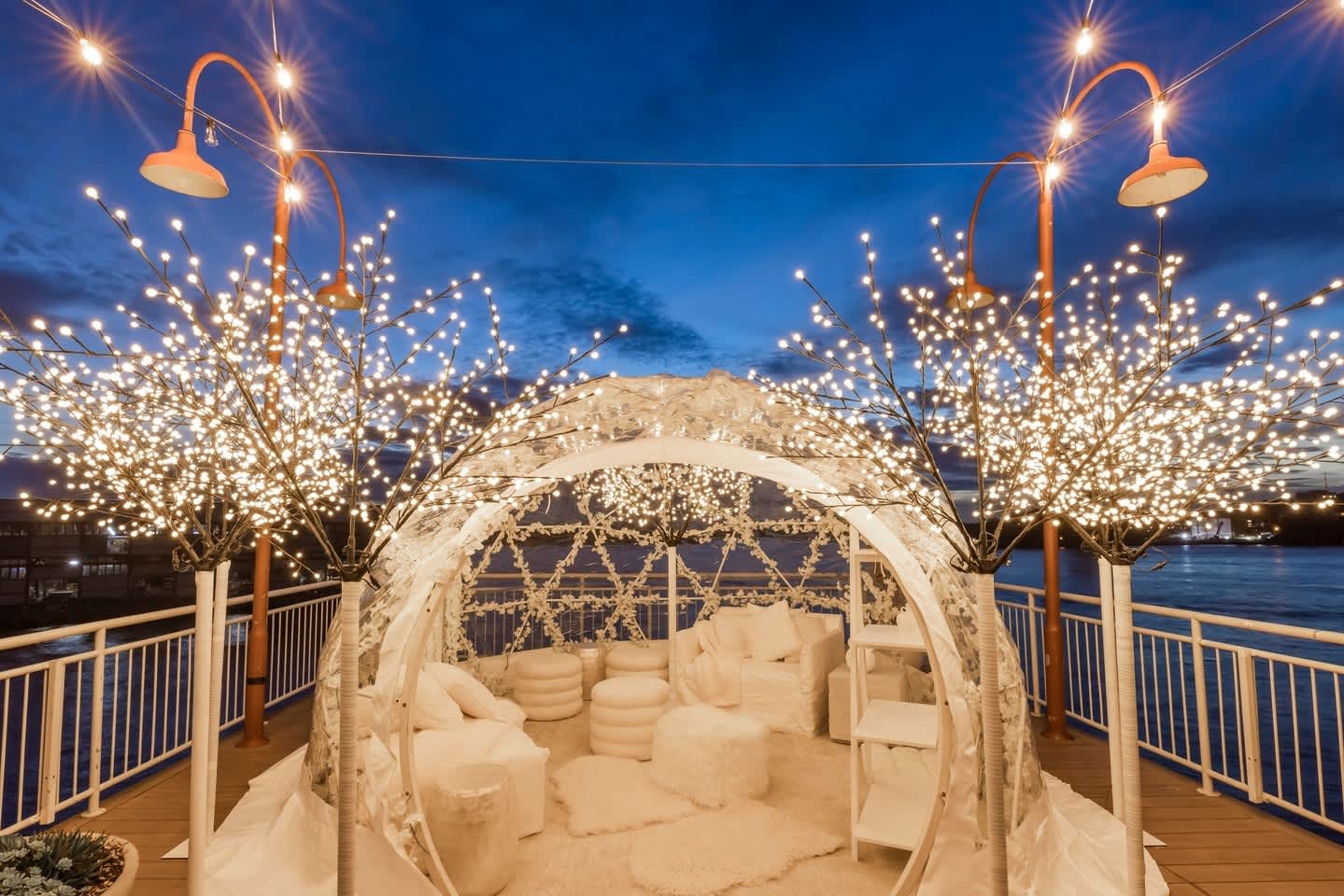 where to eat and drink vivid